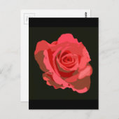 レッドローズ ポストカード (正面/裏面)