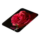 レッドローズ マグネット (左側)