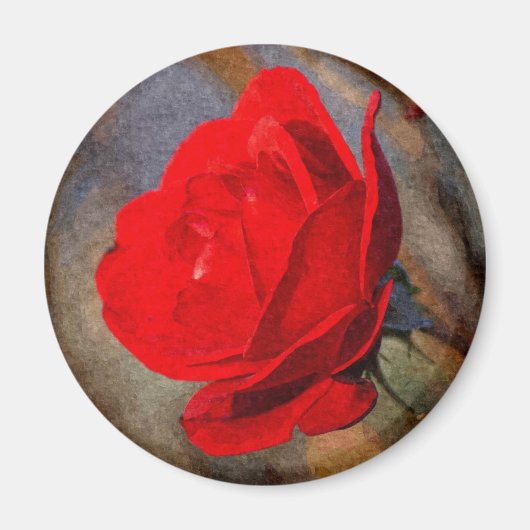 レッドローズ マグネット (正面)