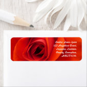 レッドローズ ラベル (インサイチュ)