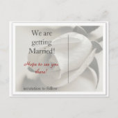 レッドローズ 案内ポストカード (裏面)