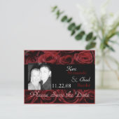 レッドローズ 案内ポストカード (スタンド正面)