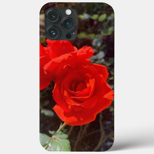 レッドローズiPhone 13 Pro Maxケース Case-Mate iPhoneケース (裏面)