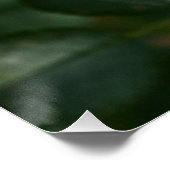 レッドローズP6568 ポスター (コーナー)