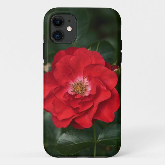 レッドローズP6568 Case-Mate iPhoneケース (裏面)