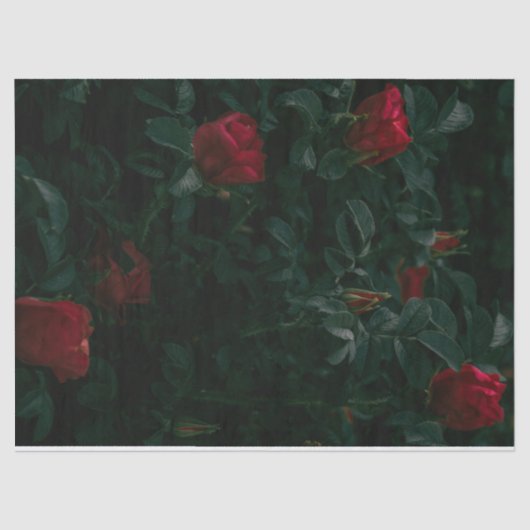 レッドローゼズティッシュペーパーデコパージュギフトラップ 薄葉紙 (正面)