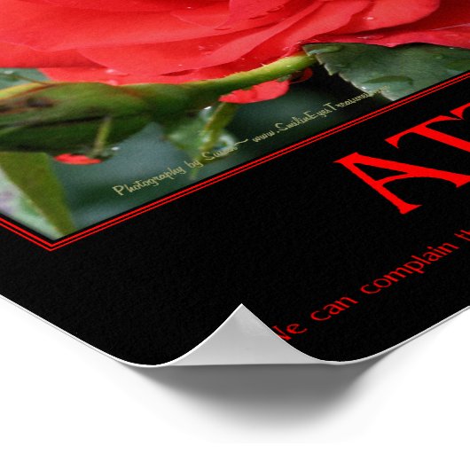 レッドローゼソーンズアティテ感動的ィチュート引用文 ポスター (角)