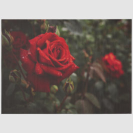 レッドローゼビューティフルフローラ20x30デコページ 薄葉紙