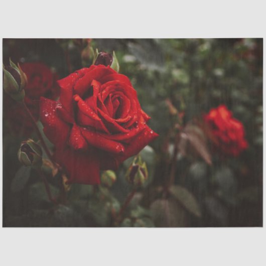 レッドローゼビューティフルフローラ20x30デコページ 薄葉紙 (正面)