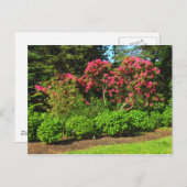 レッドロードデンドロンズビュートパーク、カーディフ、ウェールズPostca ポストカード (正面/裏面)