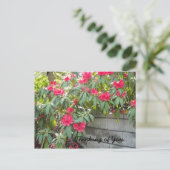 レッドロ考えるドス – 君の… ポストカード (スタンド正面)