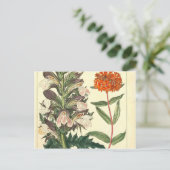 レッドワイルドフラワーヴィンテージプリント ポストカード (スタンド正面)