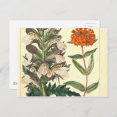 レッドワイルドフラワーヴィンテージプリント ポストカード (正面/裏面)