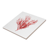 レッドワカメArt No.10ビーチテーマデコール タイル (側面)