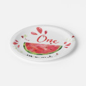 レッドワンインアメロンバースデーパーティー紙プレート ペーパープレート (アングル)