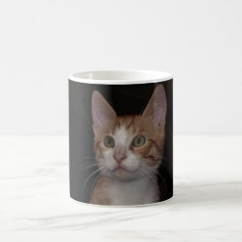 レッド子猫 – 若い猫、黒 コーヒーマグカップ