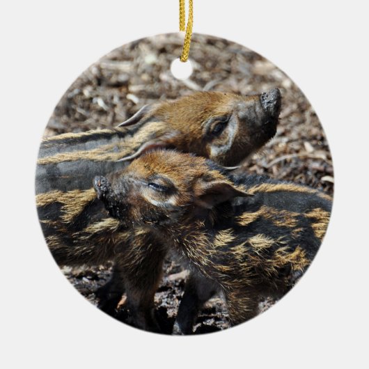 レッド川のブタのオーナメント セラミックオーナメント (正面)