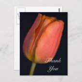 レッド春チューリップサンキューハガキ ポストカード (正面/裏面)