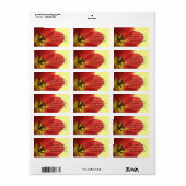 レッド春チューリップ |アドレスカスタムの入力 ラベル (フルシート)