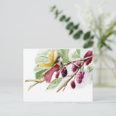 レッド桑木妖精 ポストカード (スタンド正面)