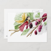 レッド桑木妖精 ポストカード (正面/裏面)