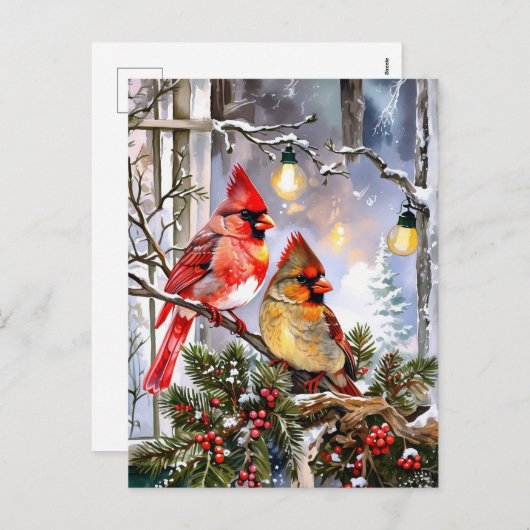 レッド深紅色とワイルドベリー冬自然 シーズンポストカード (正面/裏面)