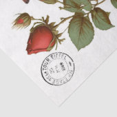 レッド深紅色クリップアートティッシュペーパー 薄葉紙 (詳細)