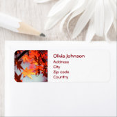 レッド秋紅葉メープルツリー ラベル (インサイチュ)