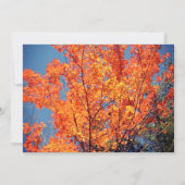 レッド葉パストラ感謝聖なる書物、 経典ありがとう 招待状 (裏面)