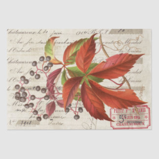 レッド葉ベリ植物画フランスの素工芸品 薄葉紙