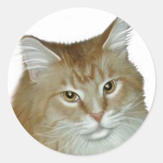 レッド虎猫メーンクーン ラウンドシール (正面)