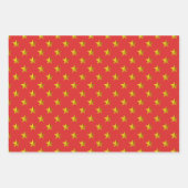 レッド金ゴールドシルバーグリーンスターズホリデイ ラッピングペーパーシート (正面)