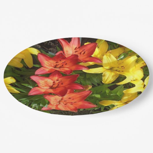 レッド&イエローライリーフォトデザイン紙プレート ペーパープレート (アングル)