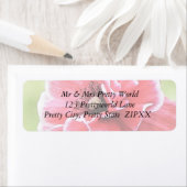 レッド・エンジェル聖歌隊ポピー ラベル (インサイチュ)