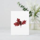 レッド・オー葉ク・ ポストカード (スタンド正面)