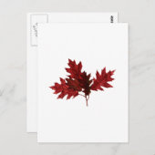 レッド・オー葉ク・ ポストカード (正面/裏面)