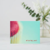 レッド・カッ恋しく思プケーキだ! ポストカード (スタンド正面)