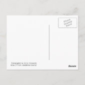 レッド・カッ恋しく思プケーキだ! ポストカード (裏面)