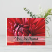 レッド·ダリア·招待されア 招待状 (スタンド正面)