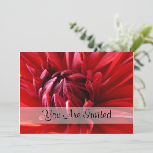 レッド·ダリア·招待されア 招待状 (スタンド正面)