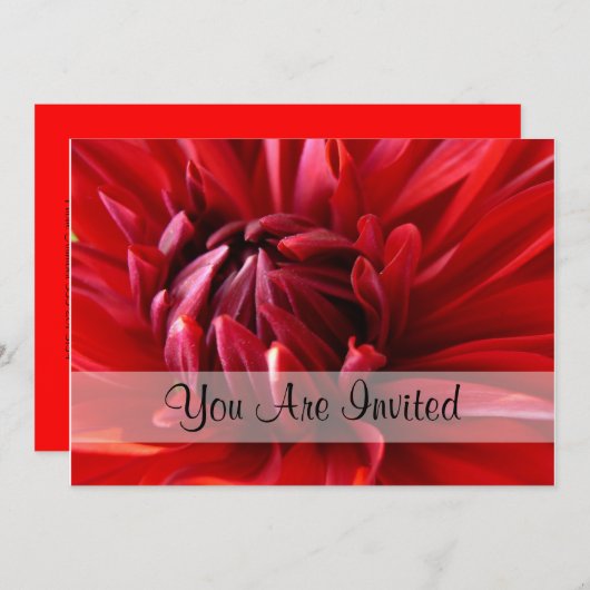 レッド·ダリア·招待されア 招待状 (正面/裏面)