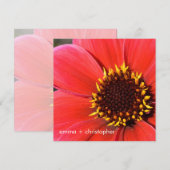 レッド·ダリア 招待状 (正面/裏面)