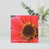 レッド·ダリア 招待状 (スタンド正面)