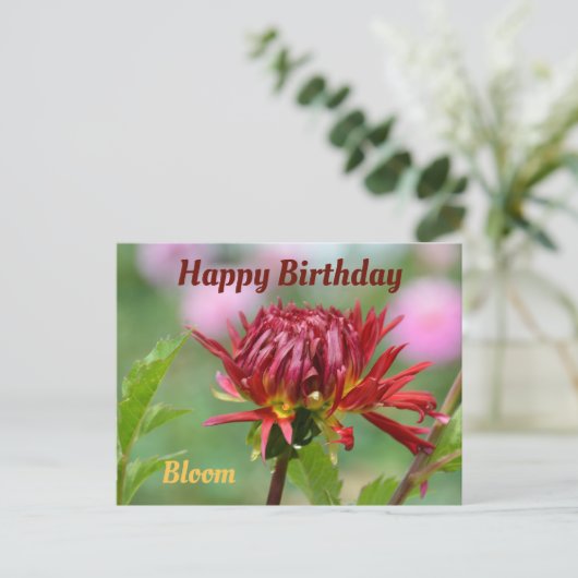 レッド ダリア 開花準備完了 誕生日写真 ポストカード (スタンド正面)