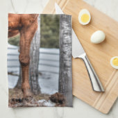 レッド・ダン・ランチ馬の動物の恋人の写真 キッチンタオル (四つ折り)