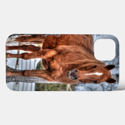 レッド・ダン・ランチ馬ウマ科の恋人の写真 Case-Mate iPhoneケース (裏面 (横))