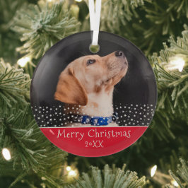 レッド ドッグ ペットの写真 クリスマス ホリデー キープ ガラスオーナメント