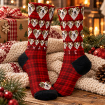 レッド プラッド ペットの写真 名前 クリスマス