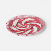 レッド&ホワイトキャンディーウィンター誕生日 ペーパープレート (アングル)