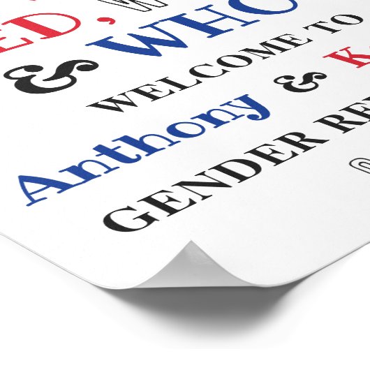 レッド、ホワイト、そして誰が?7月4日ジェンダー発表パーティー ポスター (角)